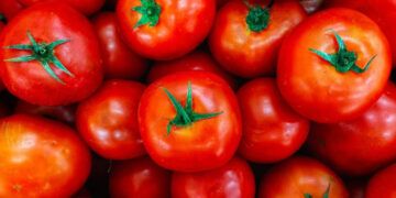 EEUU aplicará arancel del 17 % a tomates frescos importados desde México